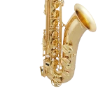 Selmer Tenor Saxophone in Bb STS511