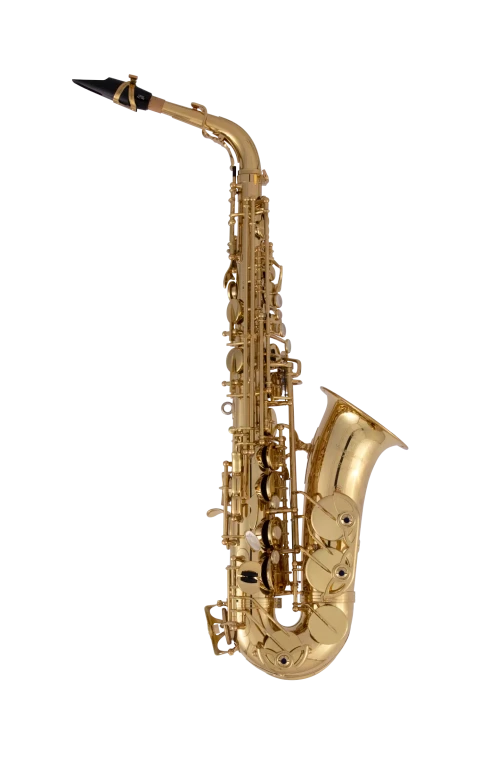 AW010 Yanagisawa Professional Alto Saxophone