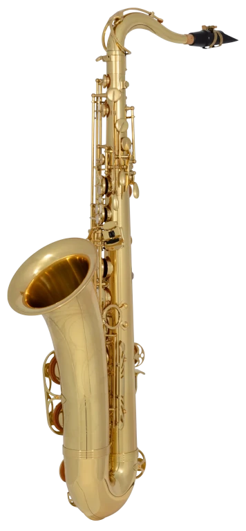 TWO1 Yanagisawa Professional Tenor Saxophone