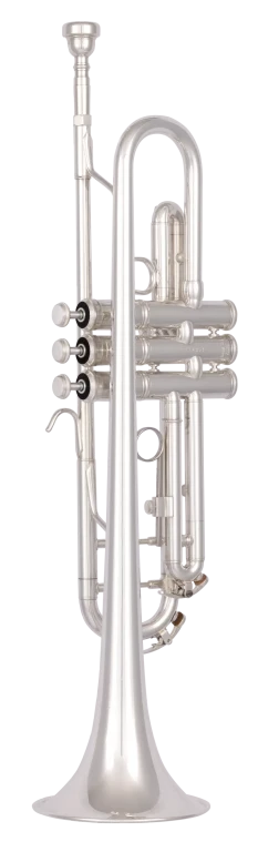 BTR302S Bach Beginner Trumpet