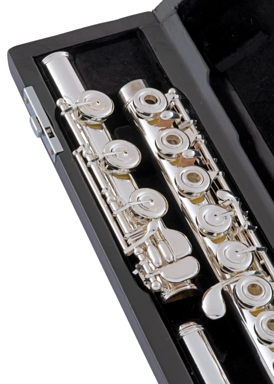 SFL411B Selmer Standard Intermediate Flute Ic Sd Hz Xcu