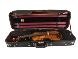 Scherl & Roth Violin SR81