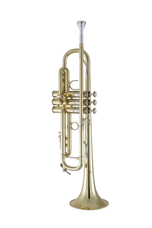 190M37X Bach Professional Trumpet