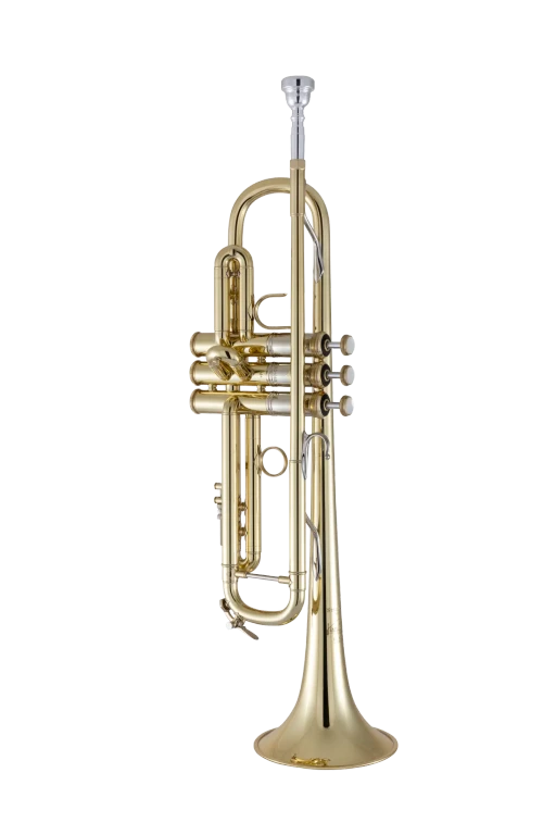 190M37X Bach Professional Trumpet