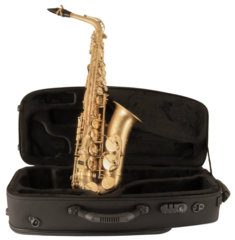52JM HSP Professional Matte Alto Saxophone