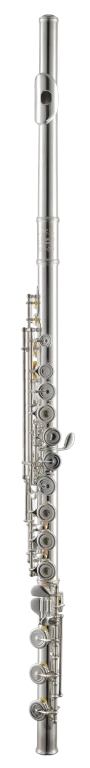 LFL611BEOCDIR Leblanc Professional Flute