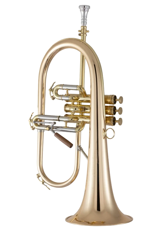 1FG Conn Professional Flugel Horn