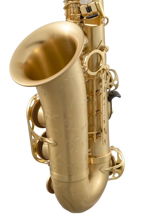 52JM HSP Professional Matte Alto Saxophone In Sd Vr Ls 2