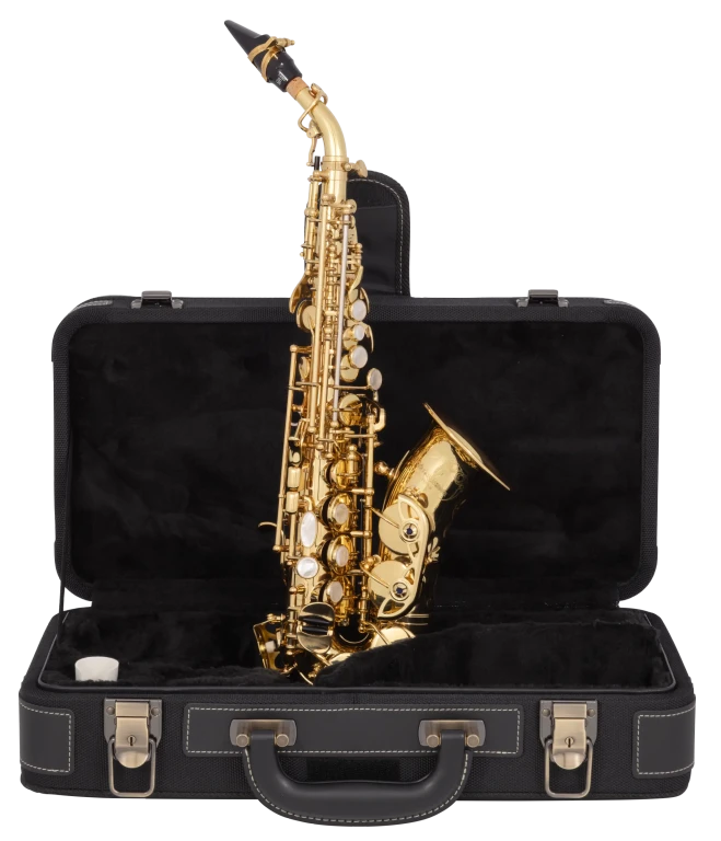 SCWO10 Yanagisawa Curves Soprano Saxophone