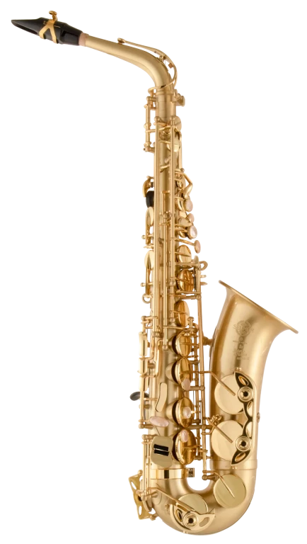 52JM HSP Professional Matte Alto Saxophone