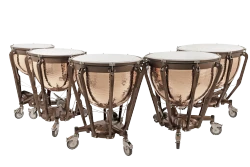 Ludwig Professional Timpani LTP505KG