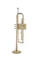 Bach Stradivarius Trumpet in Bb 17043GYR