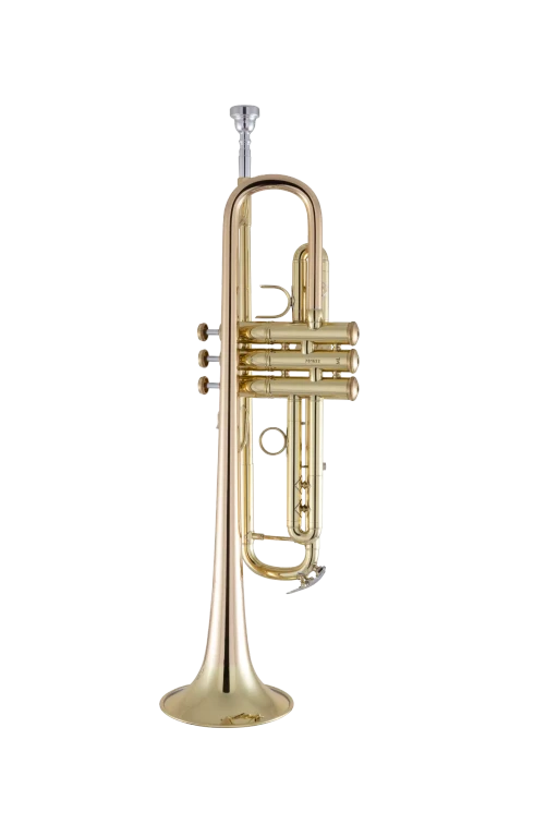 17043GYR Bach Professional Trumpet