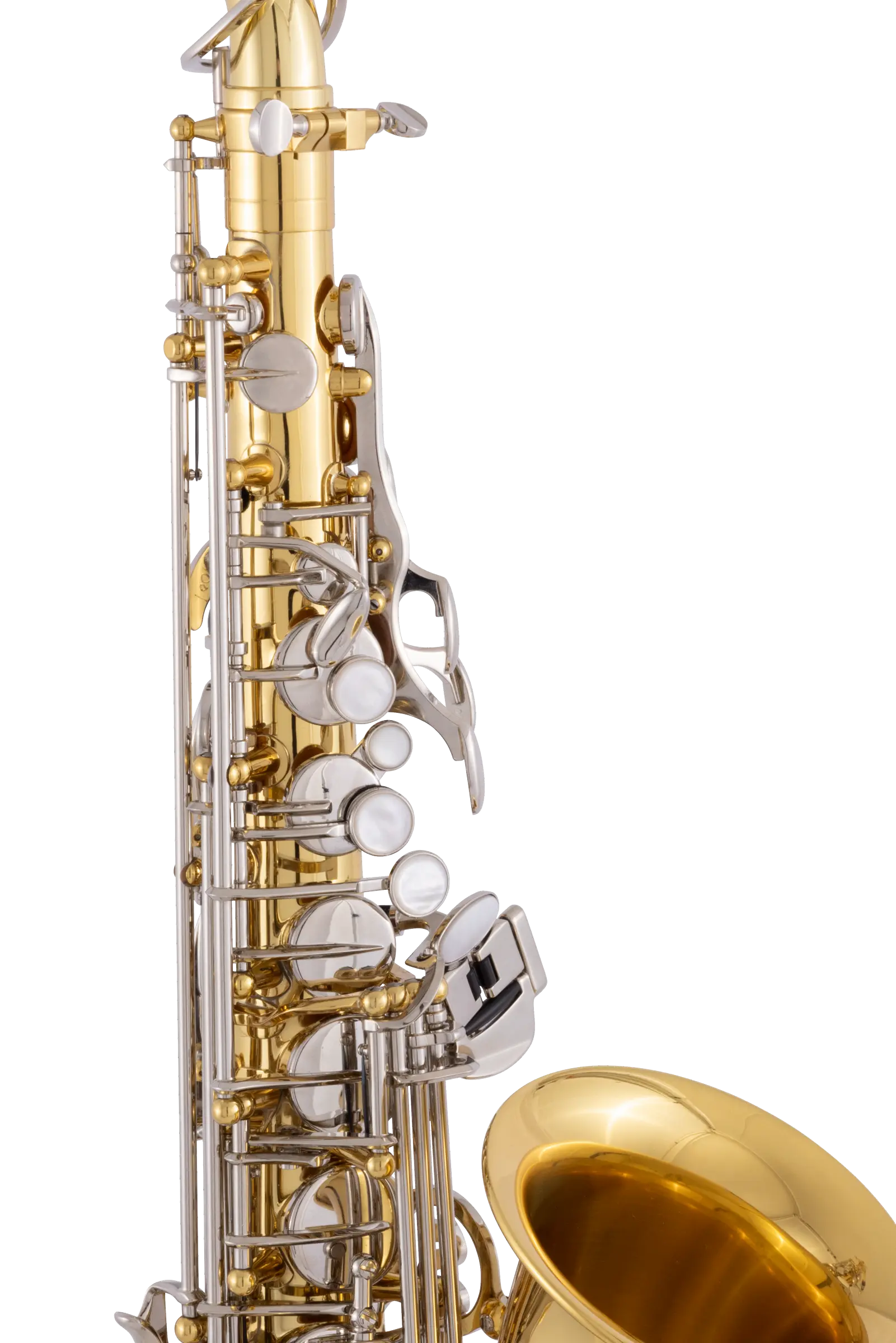 SAS202 Selmer Student AltoSaxophone - zoomed in