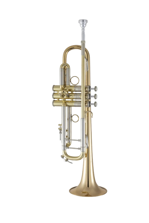 190L65GV Bach Professional Trumpet