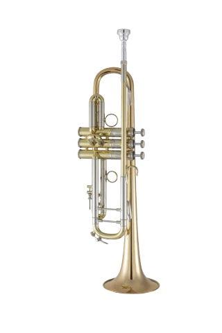 Bach Stradivarius Trumpet 190L65GV Vindabona