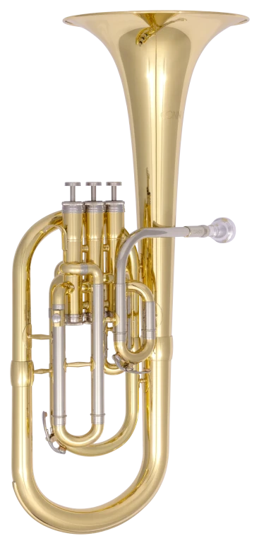 CAH311 Conn Beginner Alto Horn