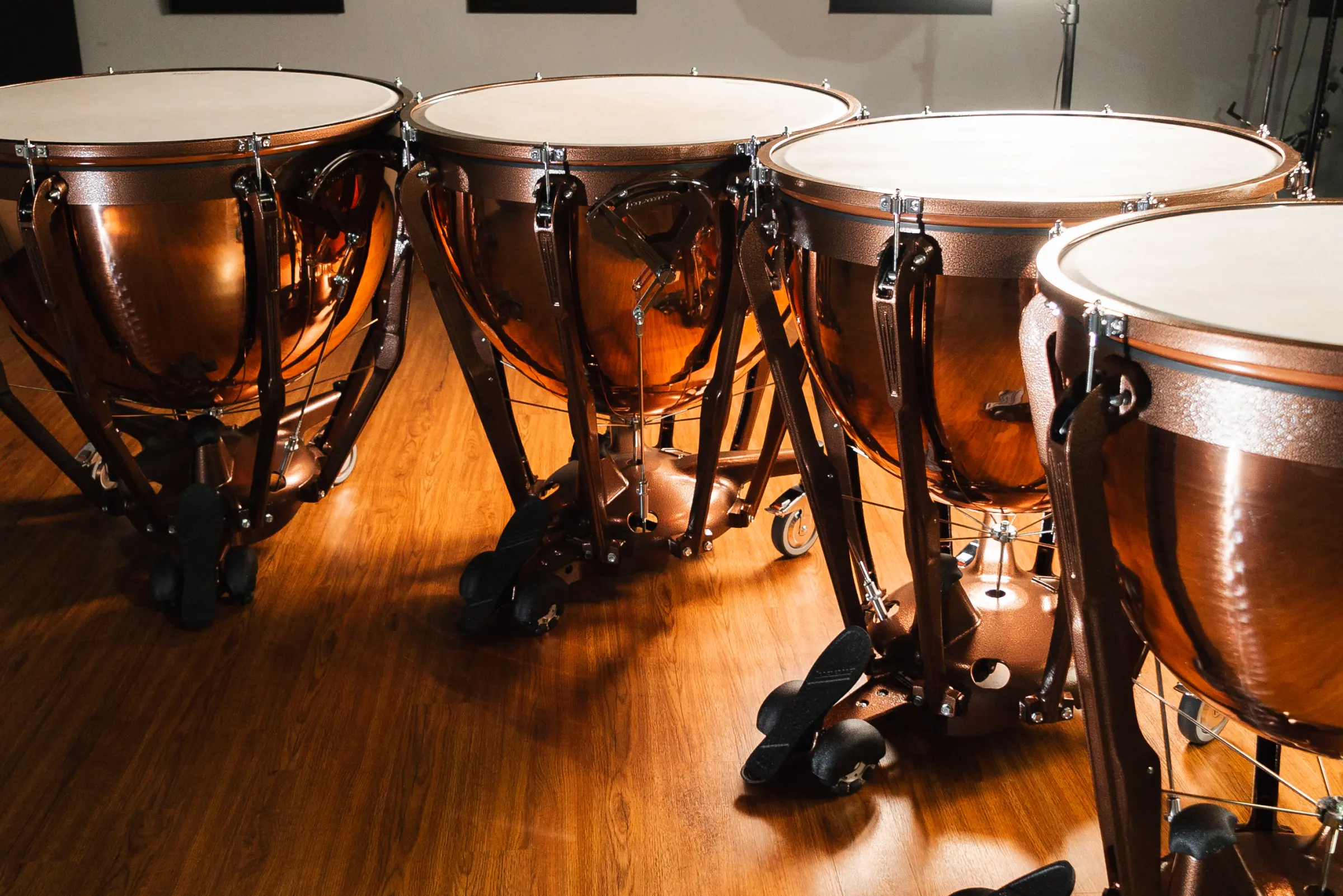 LTP504PG Ludwig Timpani Standard Lifestyle - zoomed in