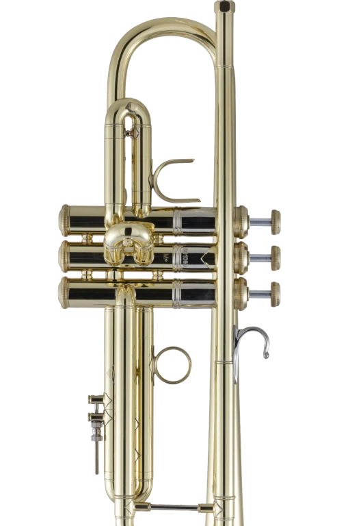 190M37X Bach Professional Trumpet