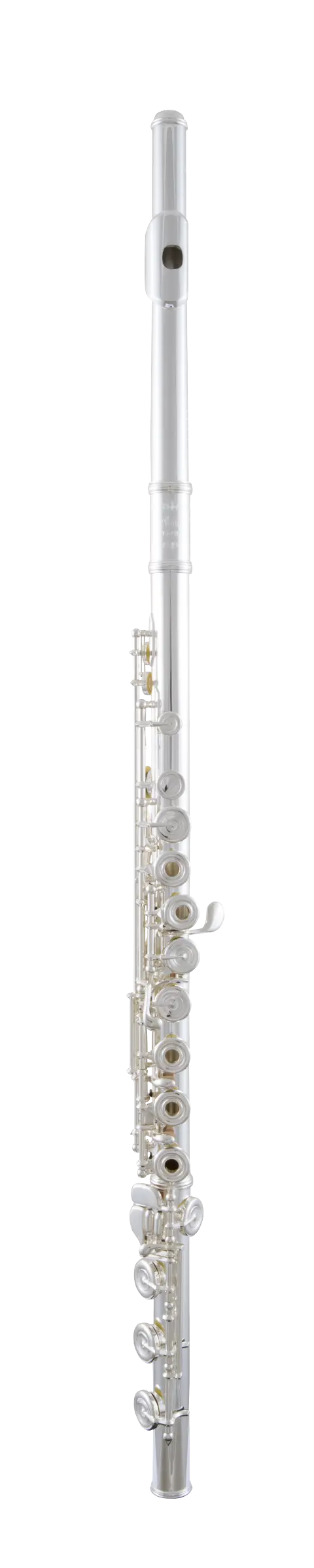 SFL611BEO Selmer Standard Intermediate Flute In Fr Vr Fs - zoomed in