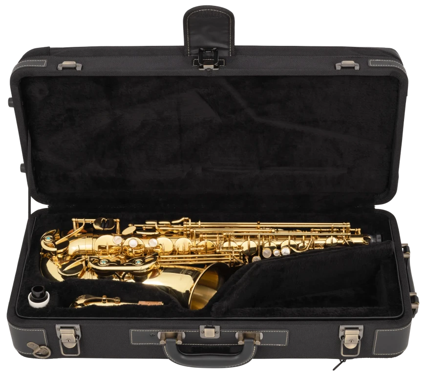 AW01 Yanagisawa Professional Alto Saxophone