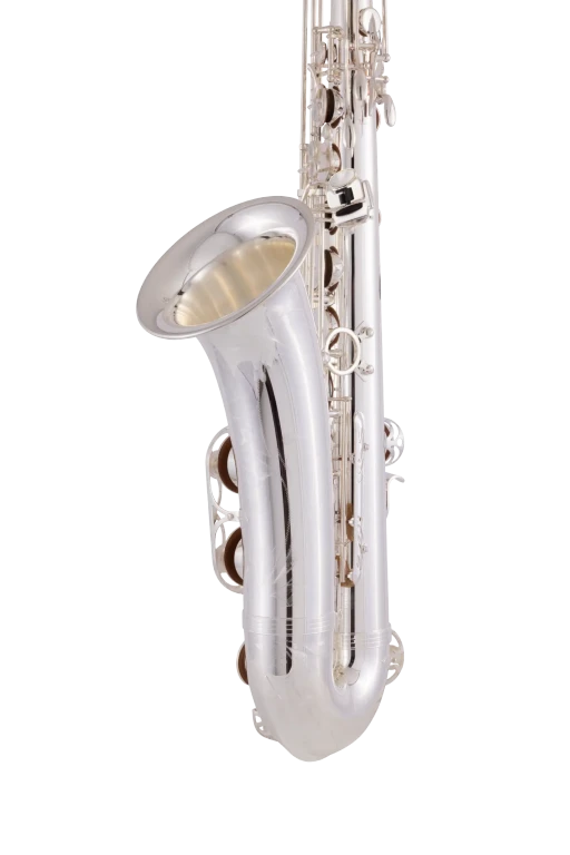 TWO10S Yanagisawa Professional TenorSaxophone