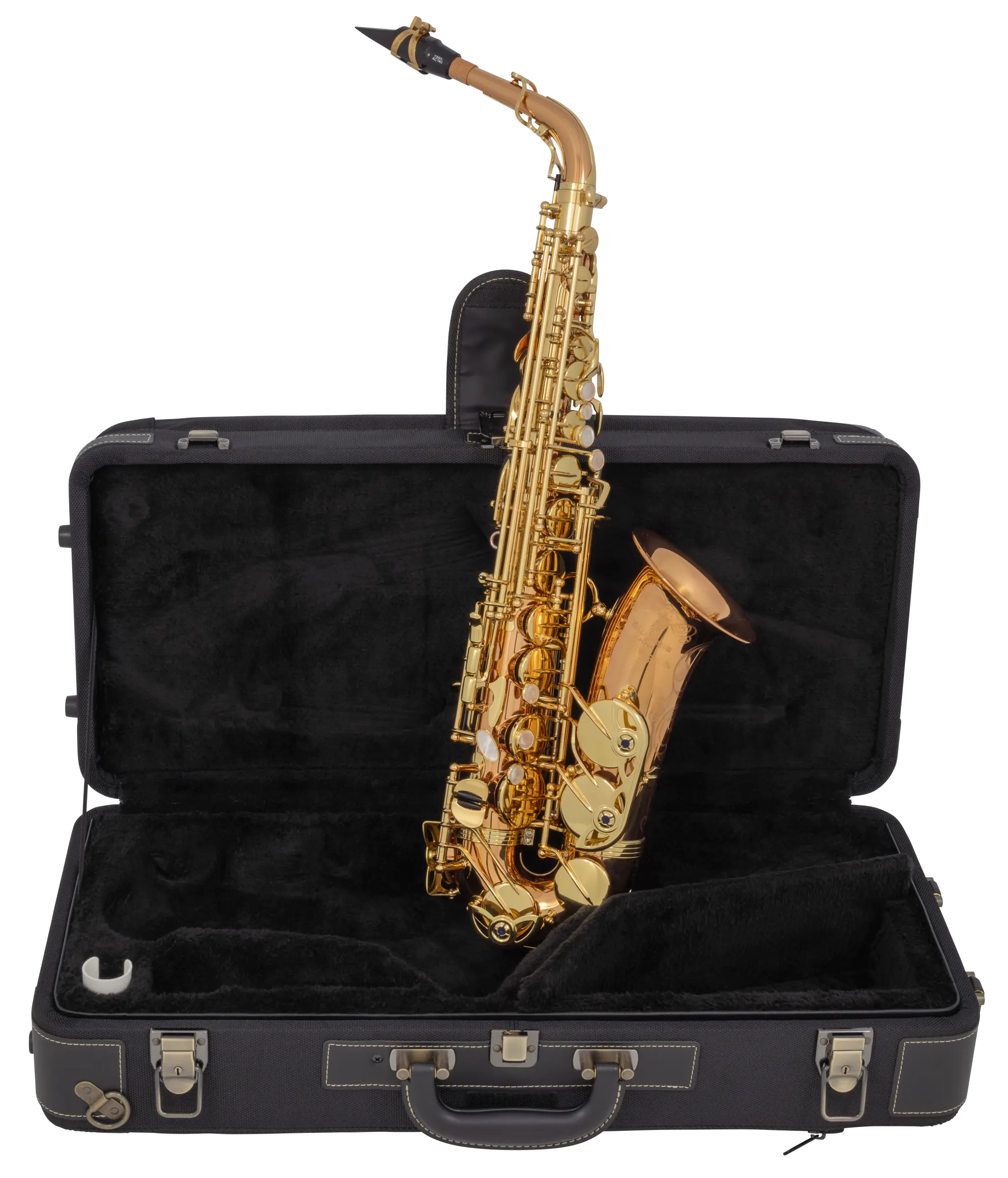 AW020 Yanagisawa Professional Alto Saxophone - zoomed in