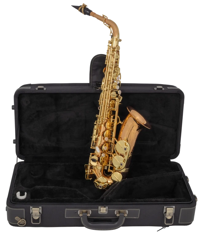 AW020 Yanagisawa Professional Alto Saxophone