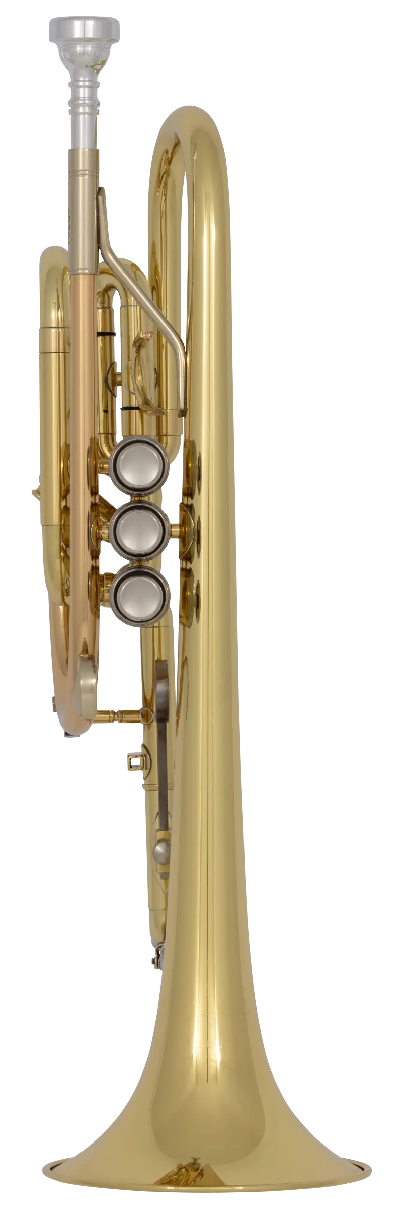 CR301H Bach Beginner Cornet - zoomed in