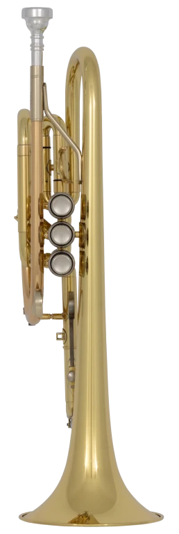 CR301H Bach Beginner Cornet