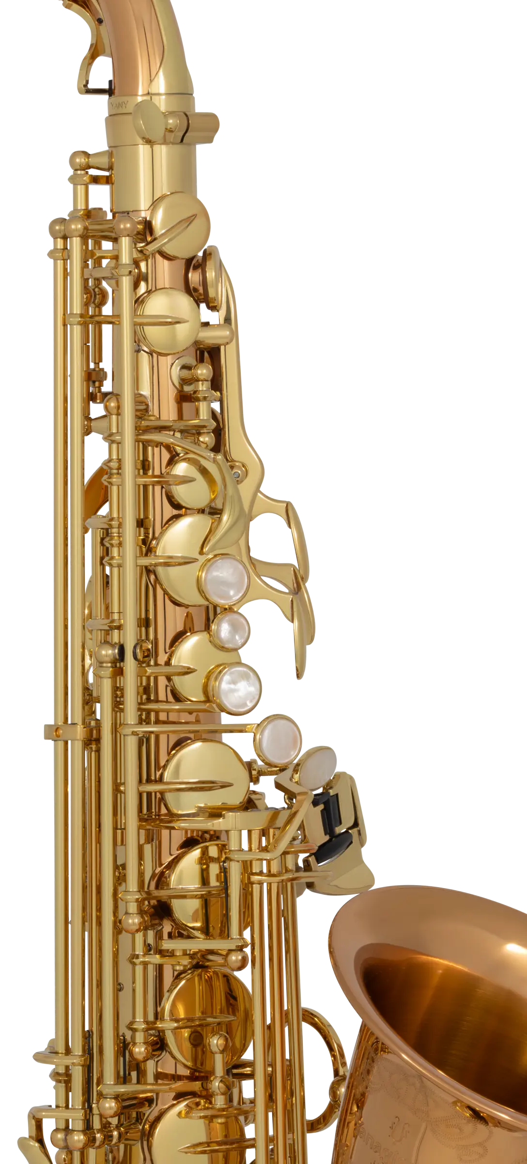 AW020 Yanagisawa Professional Alto Saxophone - zoomed in