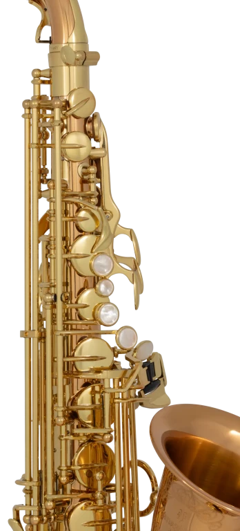 AW020 Yanagisawa Professional Alto Saxophone