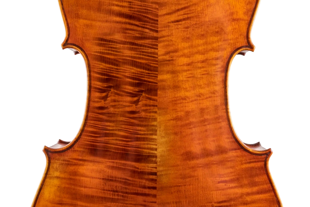 SR75E4H S&R Professional Cello