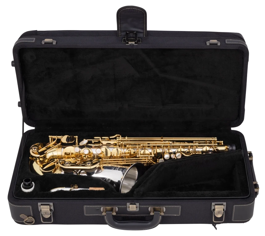AW035 Yanagisawa Professional Alto Saxophone