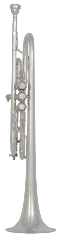 C180SL229PC Bach Professional Trumpet