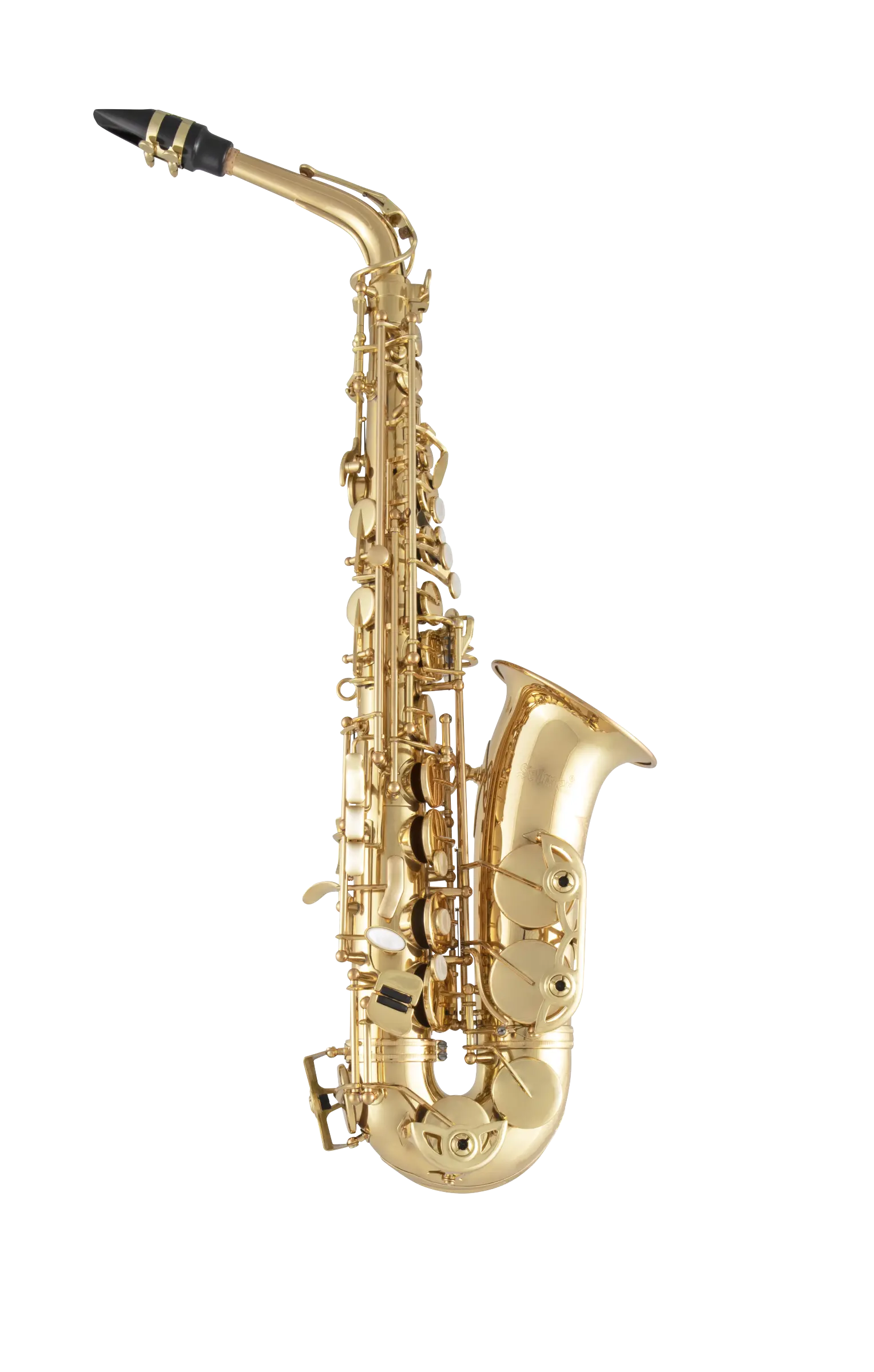 SAS511 Selmer Standard Alto Saxophone In Fr Vr - zoomed in