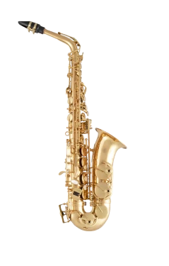 Selmer Alto Saxophone in Eb SAS511