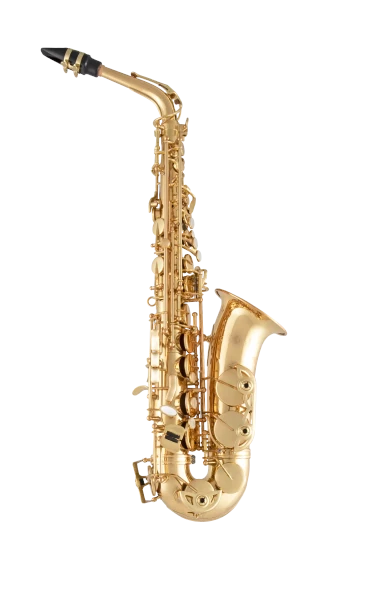 Selmer Alto Saxophone in Eb SAS511