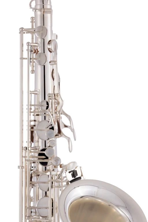 TWO10S Yanagisawa Professional TenorSaxophone