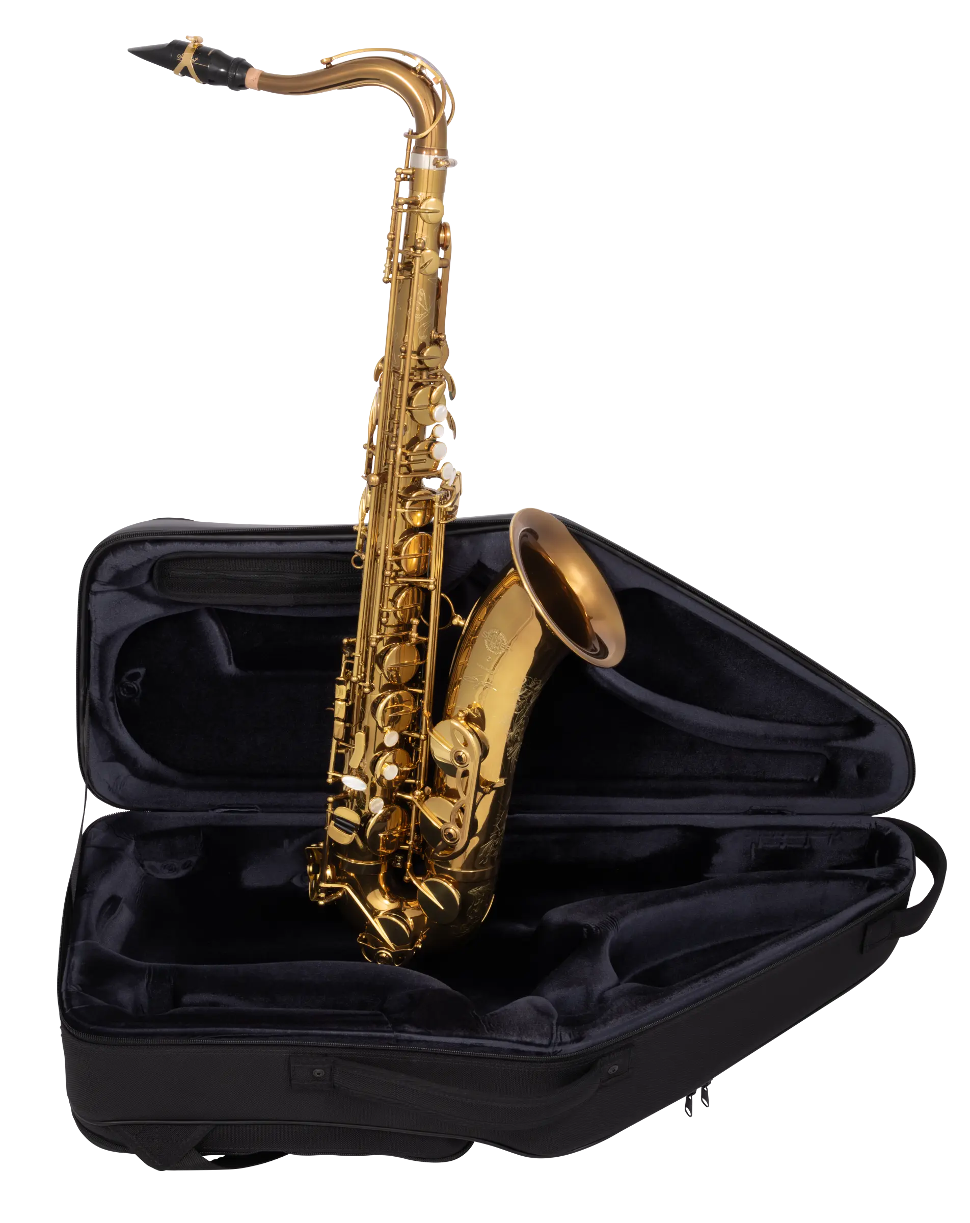 84SIGUSA1 HSP Professional Tenor - zoomed in