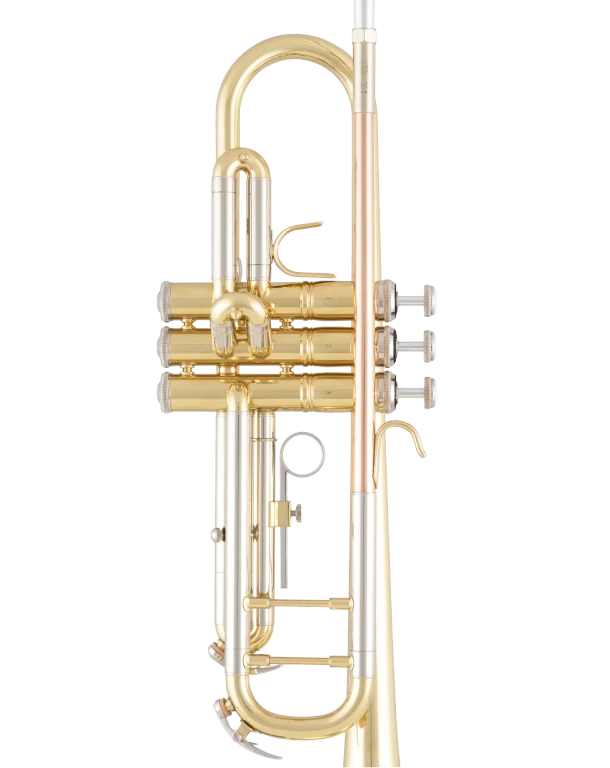 BTR201 Bach Student Trumpet D