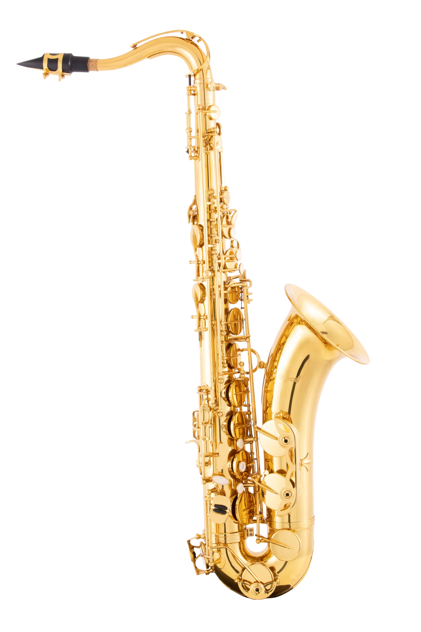 LTS211 Leblanc Student Tenor Saxophone - zoomed in