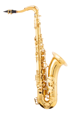 Leblanc Tenor Saxophone in Bb LTS211