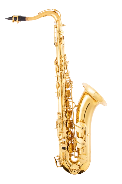 LTS211 Leblanc Student Tenor Saxophone