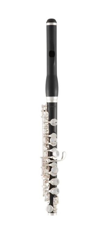 SPC411 Selmer Standard Intermediate Piccolo In Fr Vr Fs