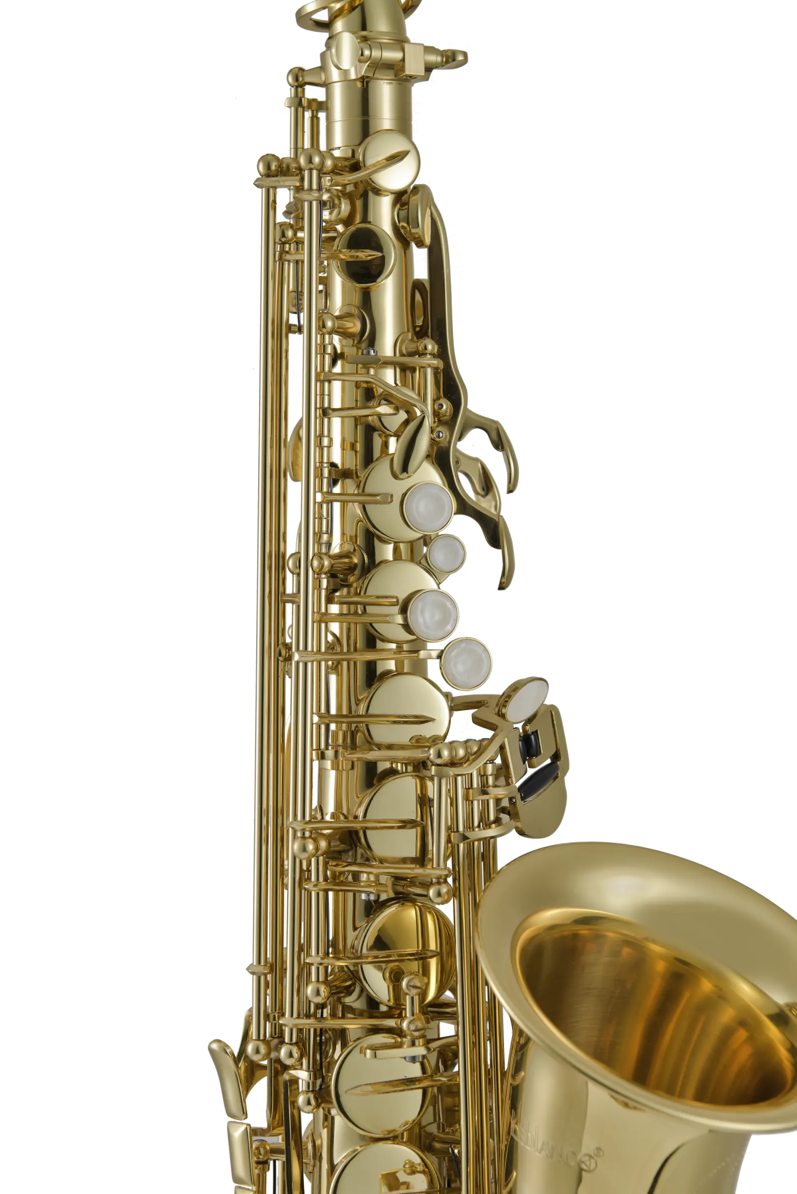 LAS211 Leblanc Student Alto Saxophone - zoomed in
