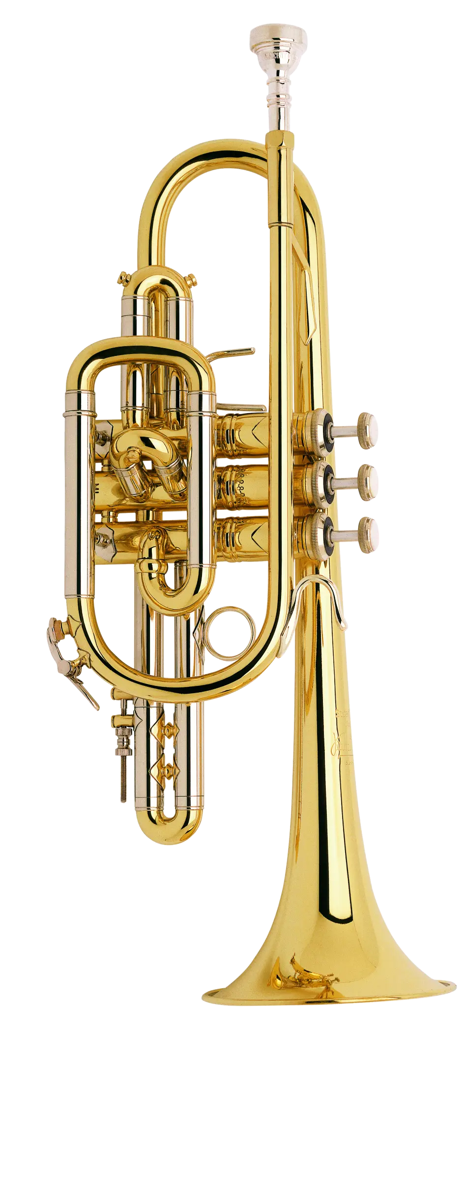 181ML Bach Cornet - zoomed in