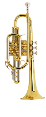 Bach Stradivarius Cornet in Bb 181ML