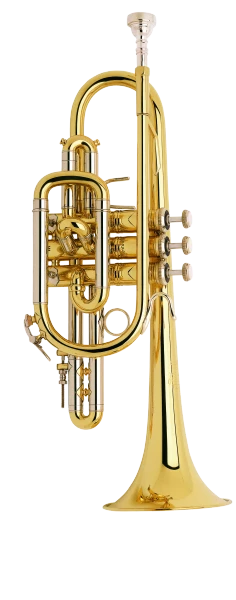 Bach Stradivarius Cornet in Bb 181