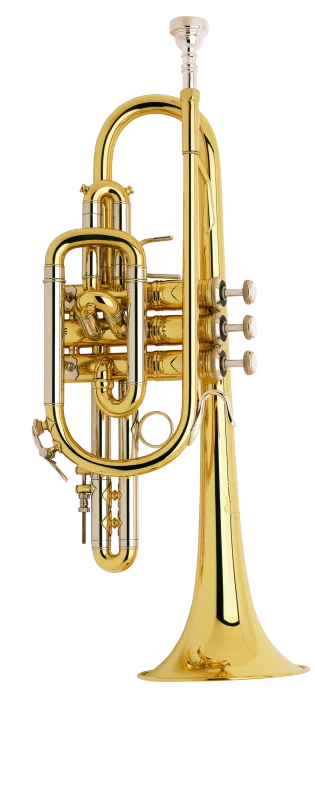 Cornet and Flugelhorn Instrument